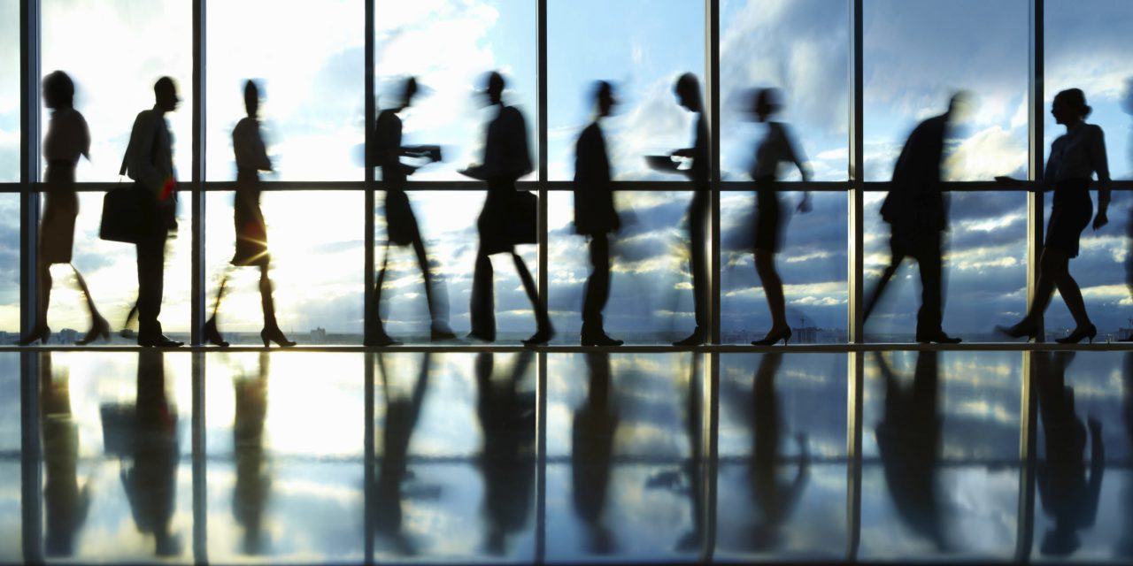 El autoliderazgo profesional en SCC